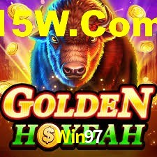 Programa VIP Win97